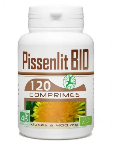 Gph Diffusion Pissenlit BIO 120 comprimes