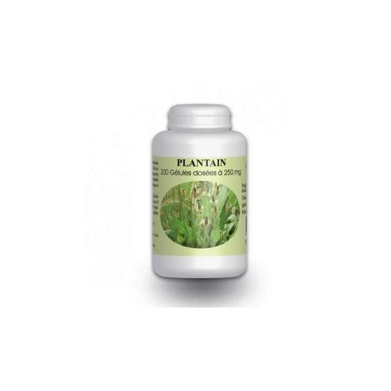 Gph Diffusion Plantain BIO - 200 Gelules à 250 mg