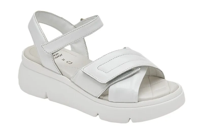 Scholl Sandales Bali Cross - S30615